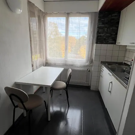 Apartment Charmante, Gemütliche In Toplage An Der Aare&altstadt In Gehdistanz Bern
